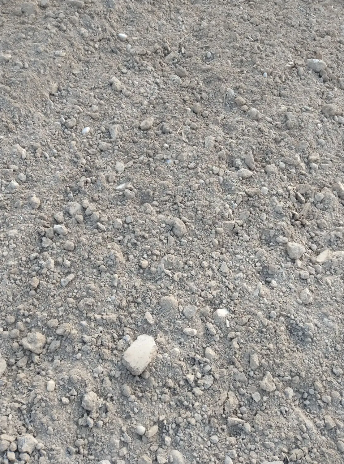 زمین اجاره