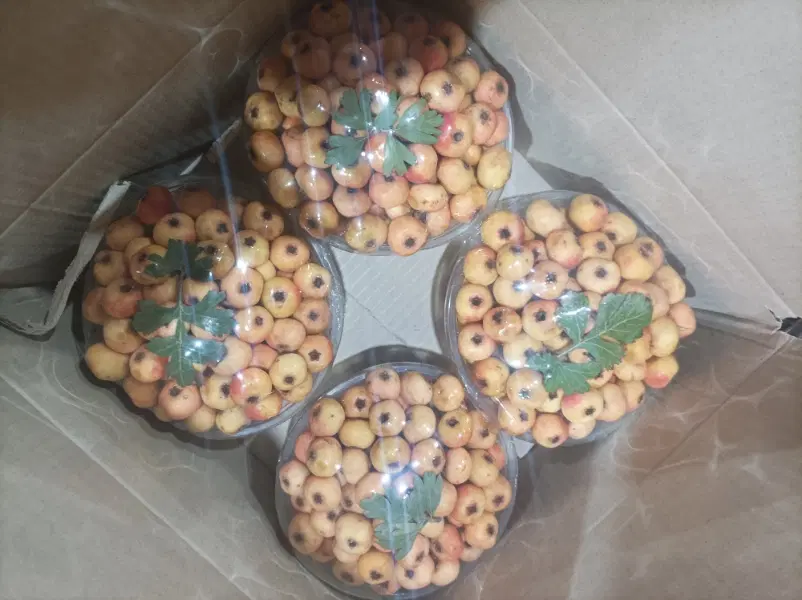 مغازه از شما کار از من