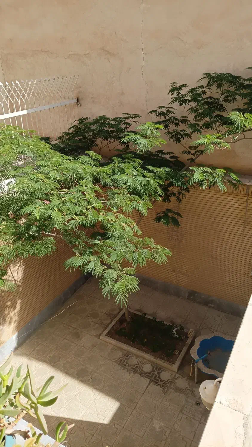 اجاره طبقه همکف گلستان .فلاطوری و موارد دیگر