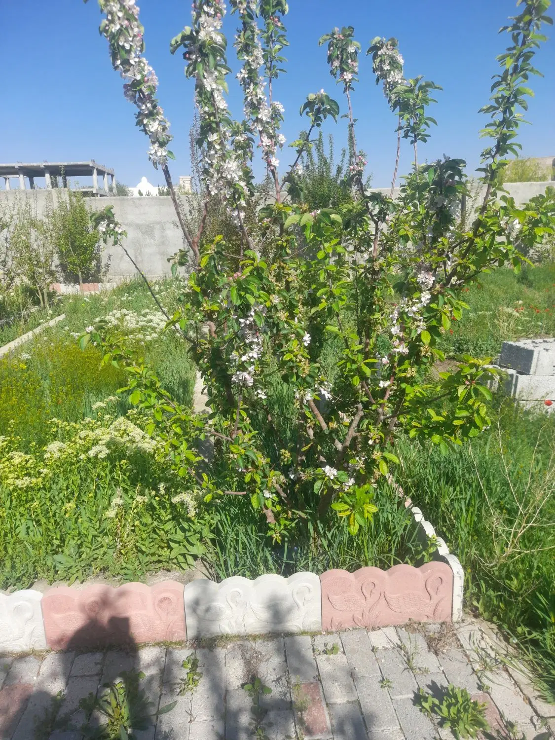 ویلا 1000در کوی استادان