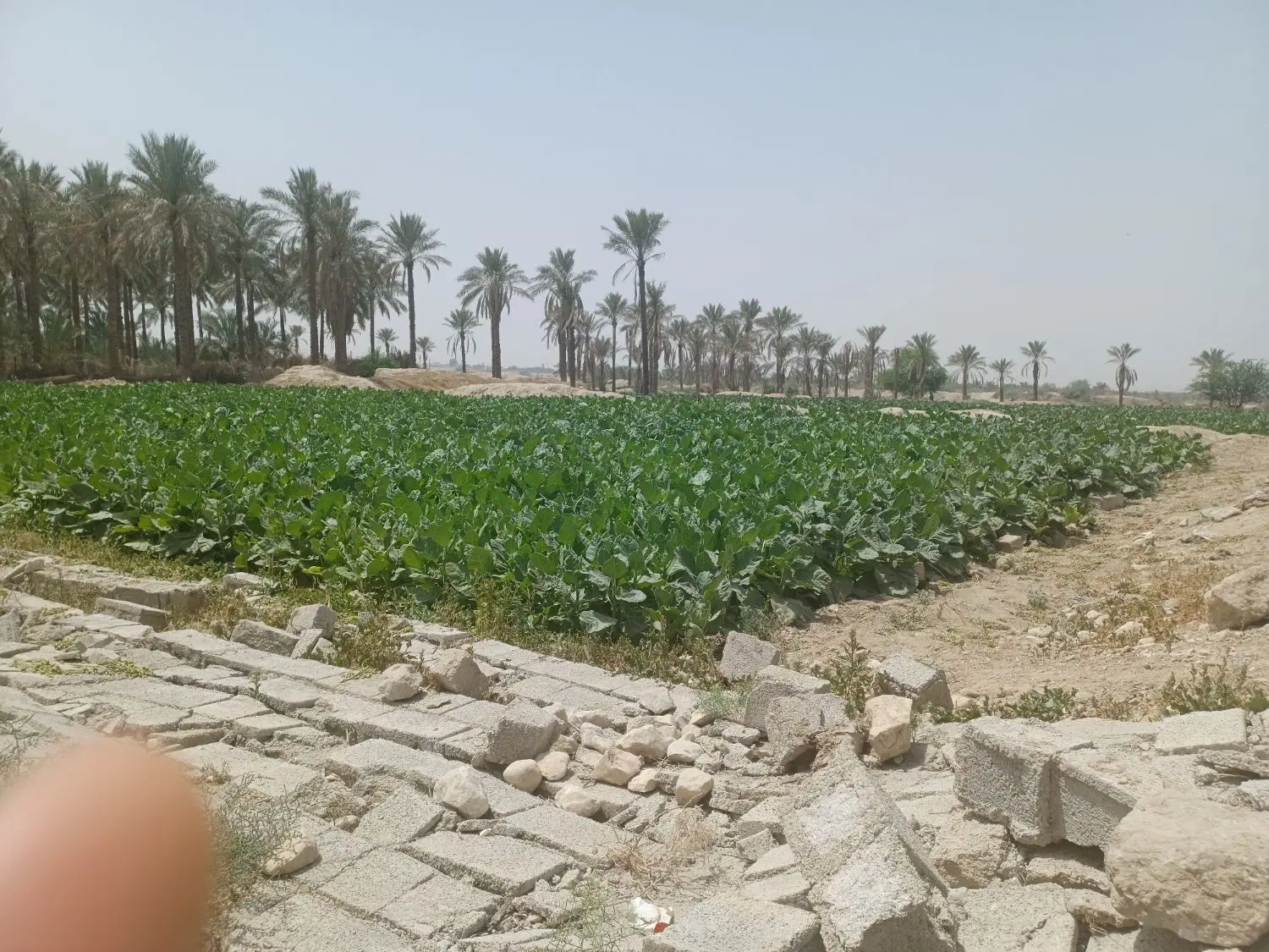 مشارکت در ساخت