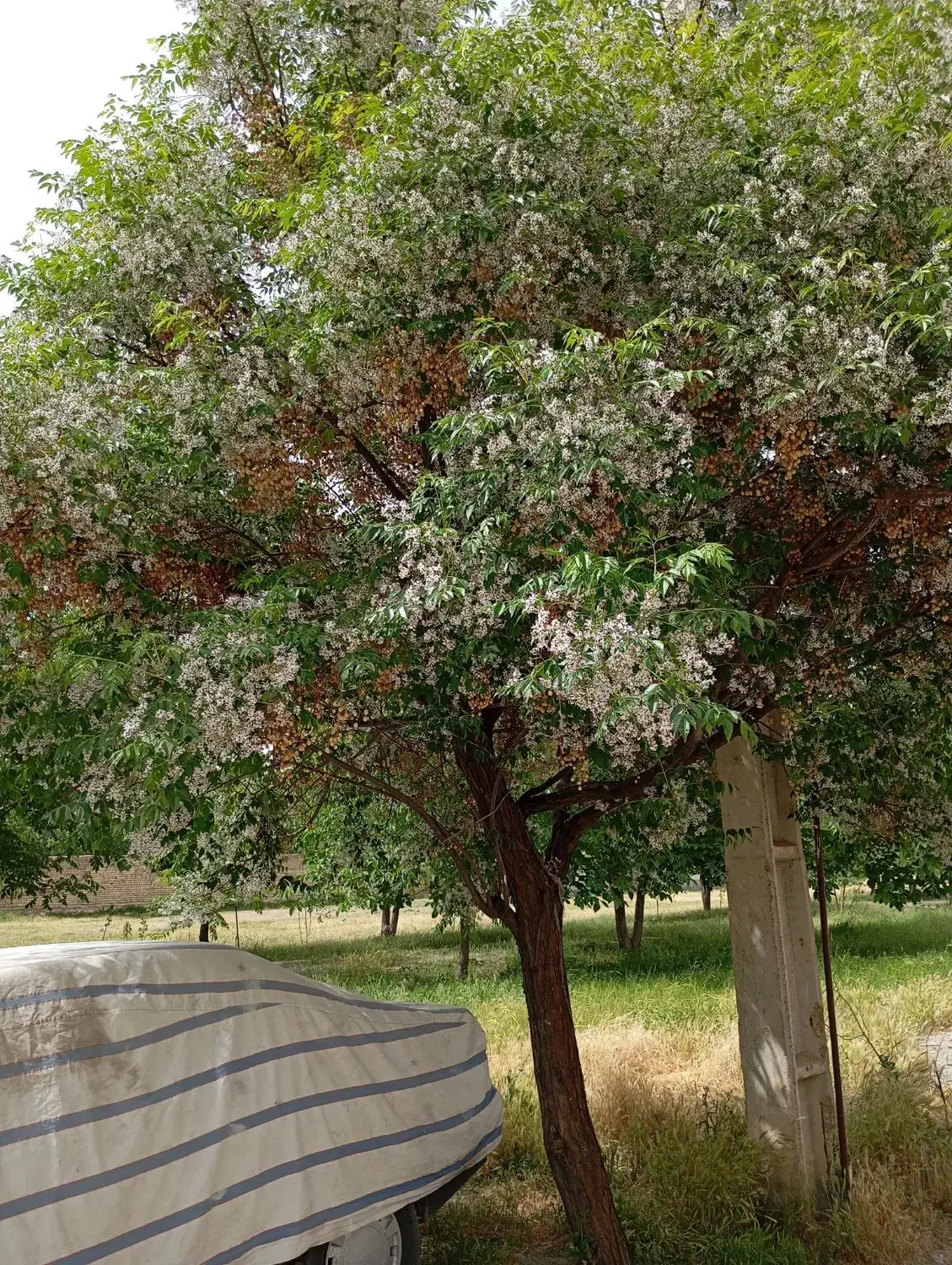 فروش خانه ویلایی