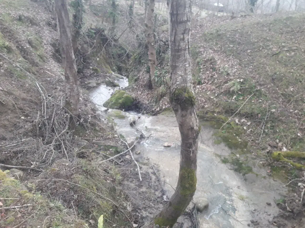 فروش زمین یلاقی سوادکوه