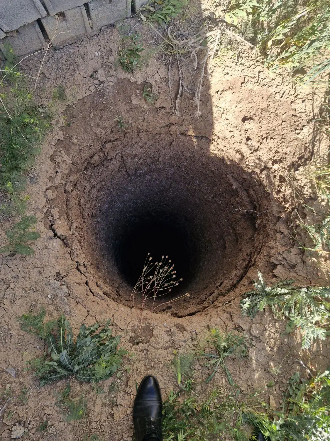 فروش باغ خوره