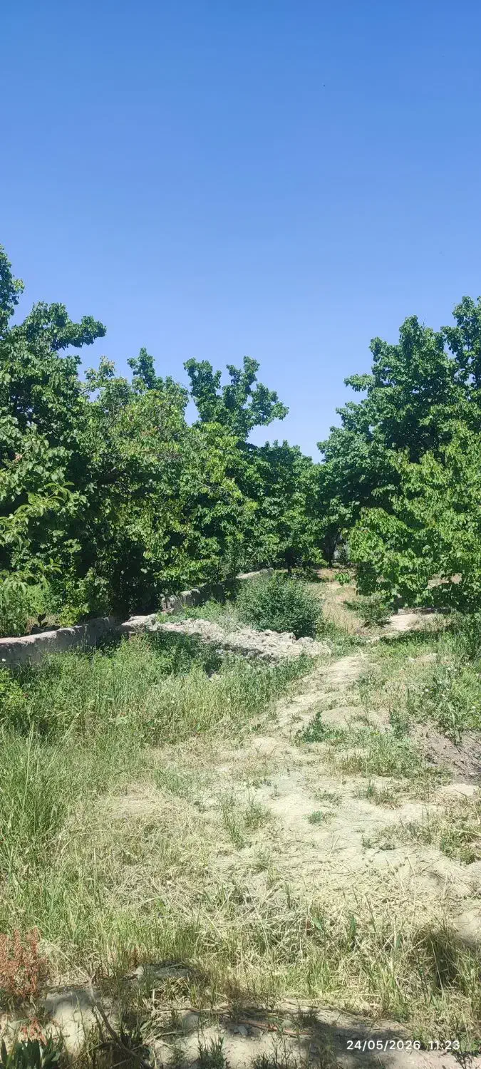 ۵۰۰ متر باغ سند دار