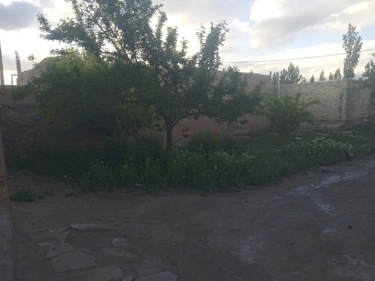 خانه روستایی