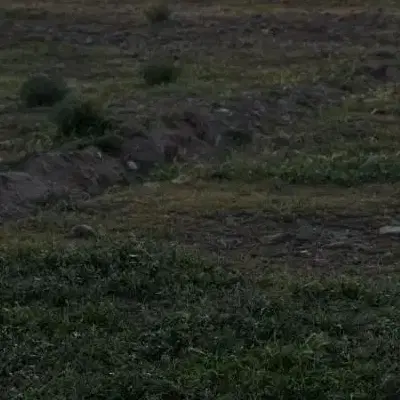 ۱۹۷ زمین مسکونی