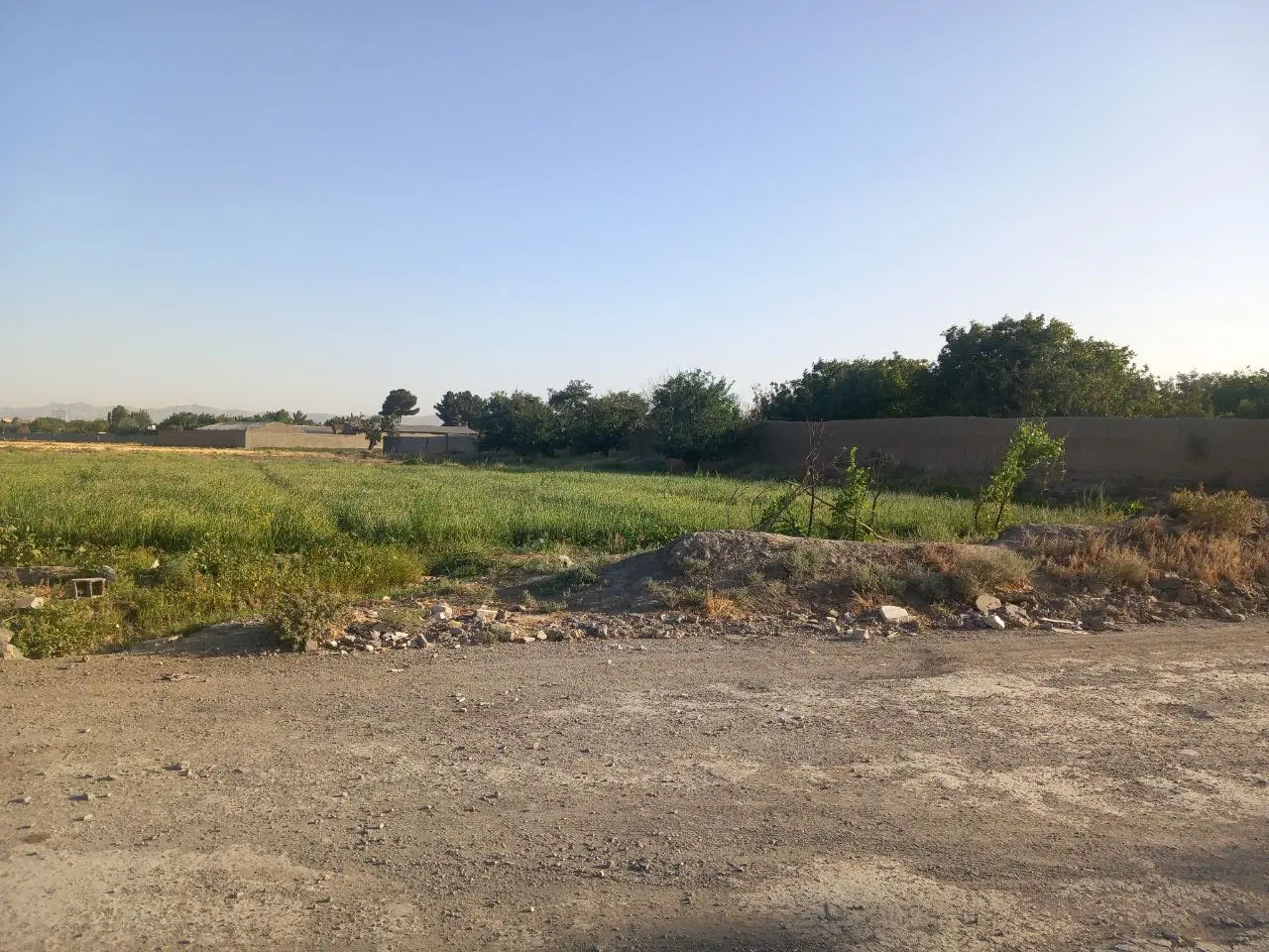 زمین ۲۶۵۰متر