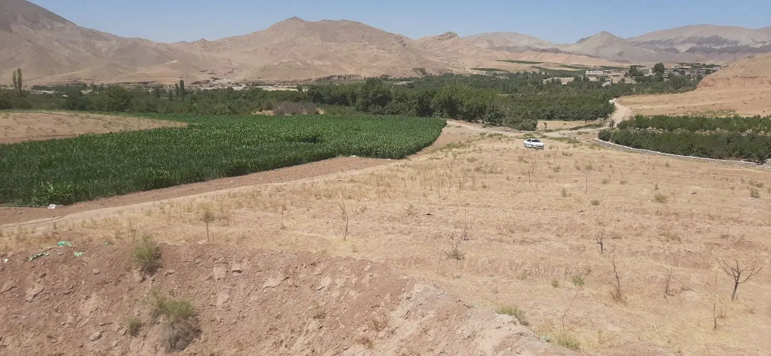 ۳هزارمتر زمین باغ داری و کشاورزی