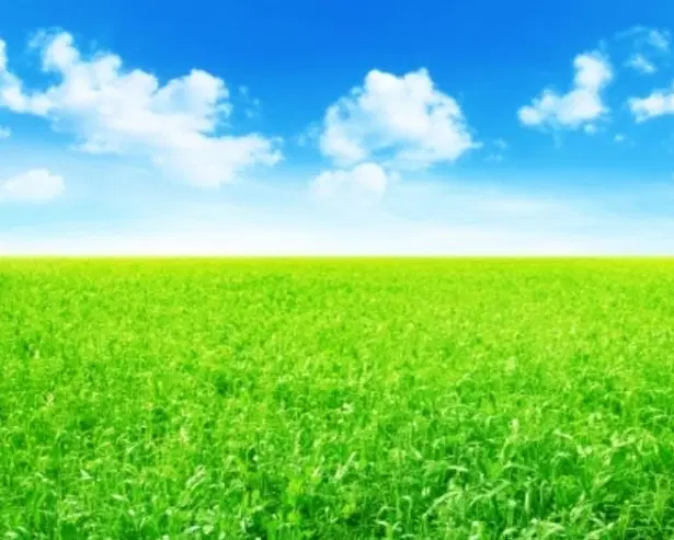 زمین پردیس