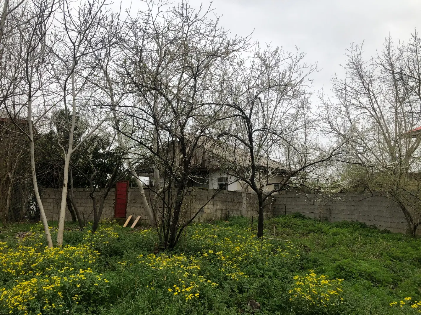 خانه باغ