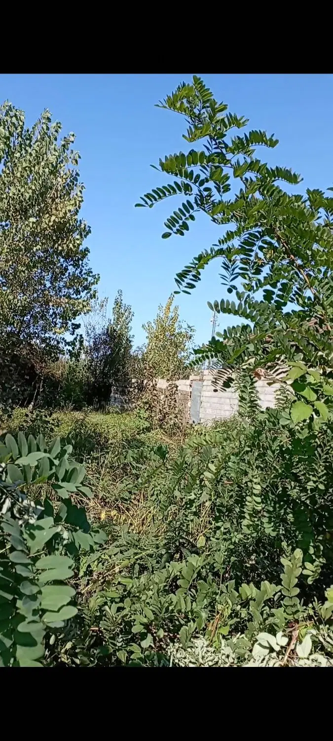 زمین مسکونی با موقعیت عالی