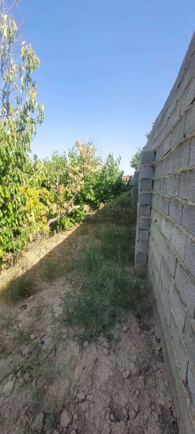 باغچه چهار دیواری
