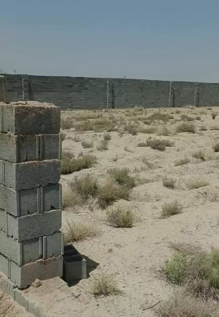 زمین باغی