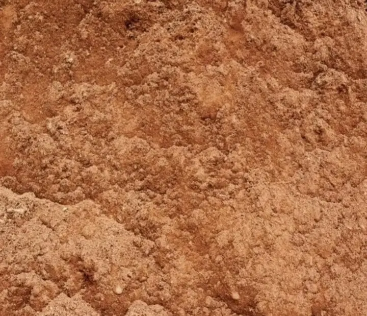 زمین سیدی