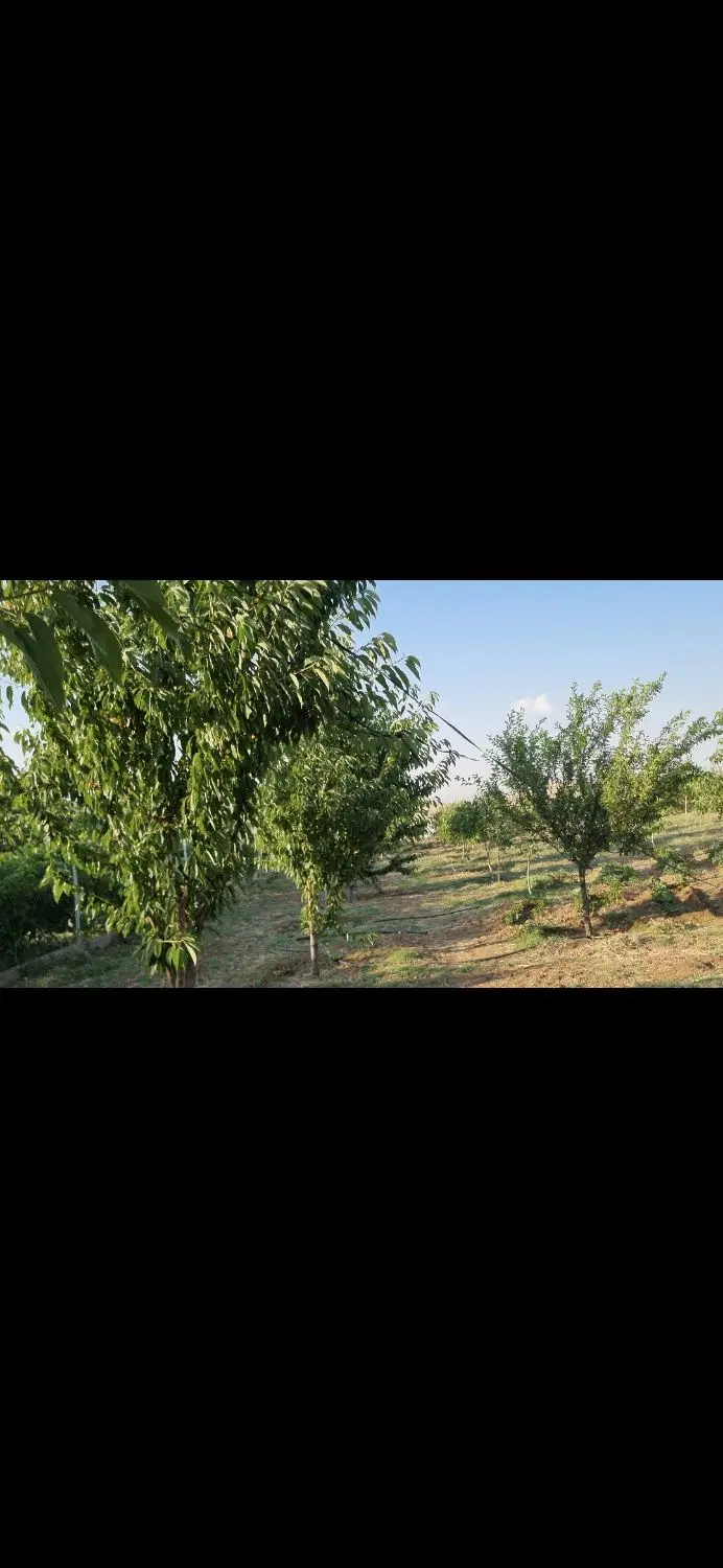 خانه باغ کانی دروزنه  فروشی