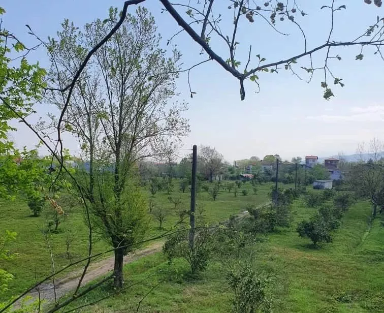 زمین باغی 41000متر با کاربری مسکونی4000متر