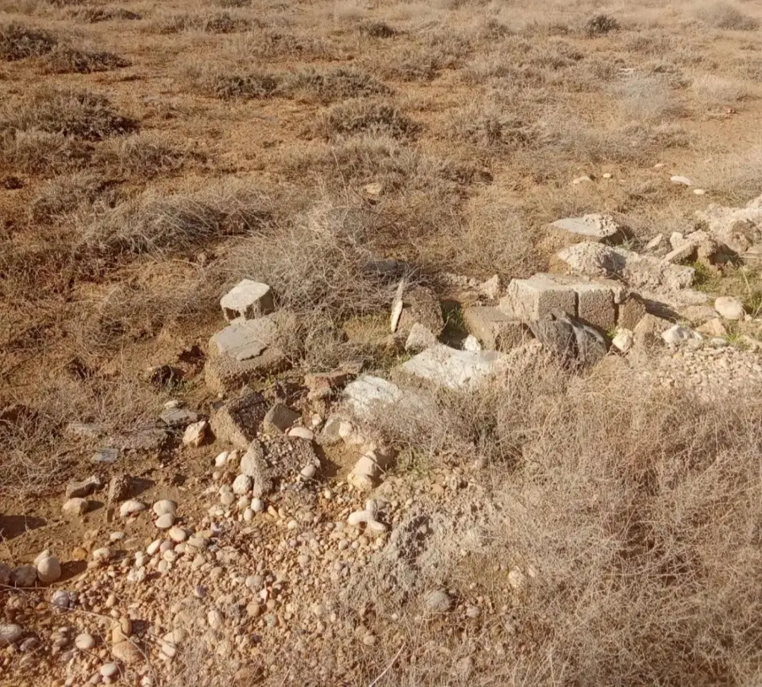زمین زراعی