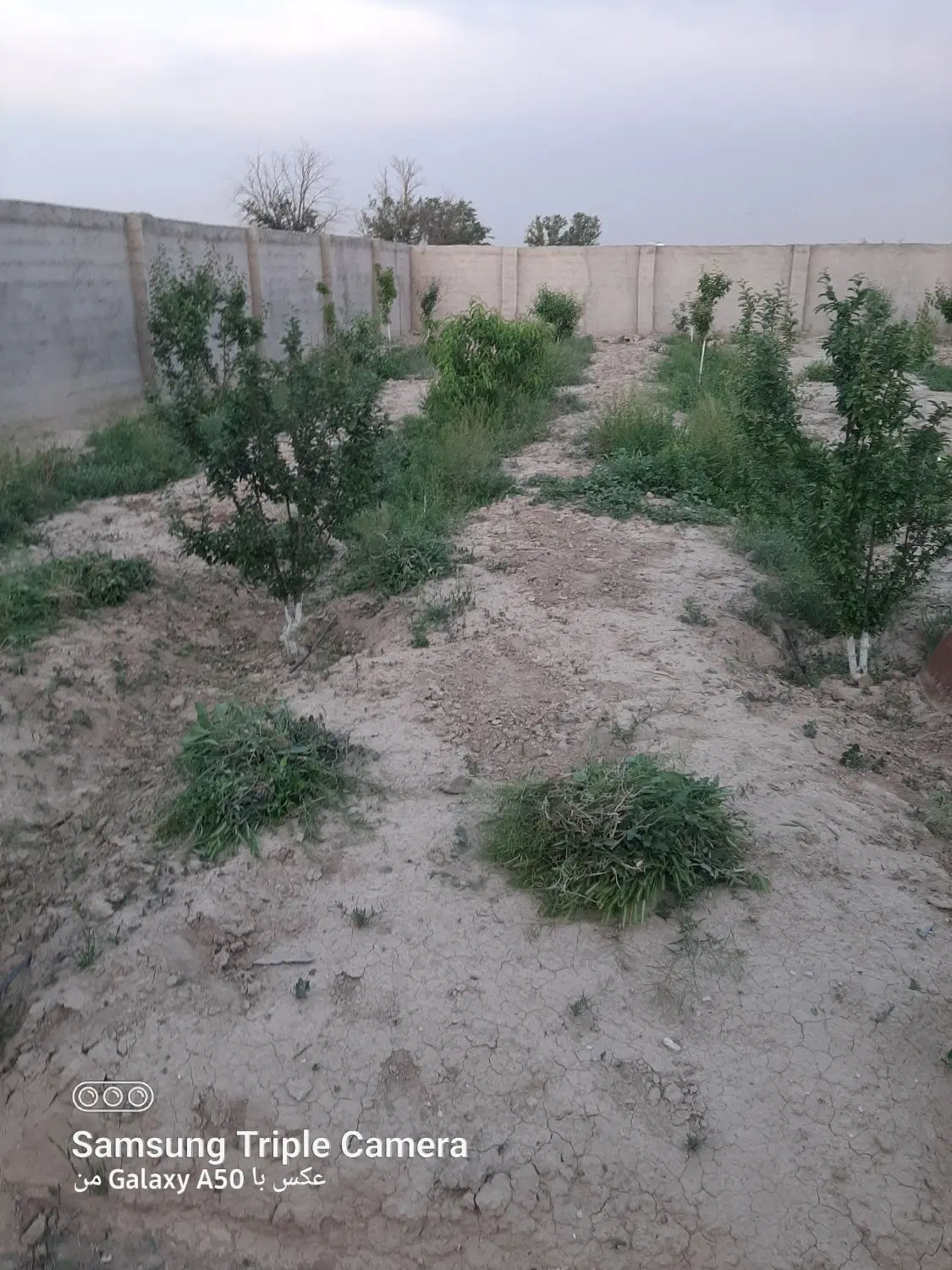 باغچه ۶۰۰متری باسهمیه آب سنددار تهاتر  انجام میشه