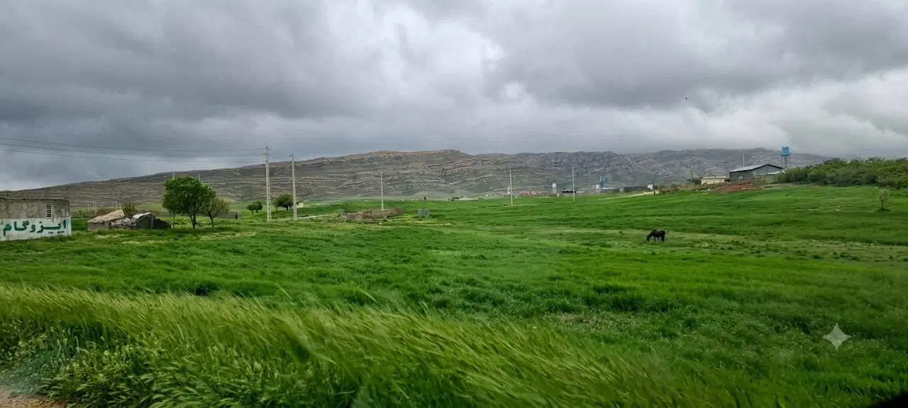 زمین باغ شهری