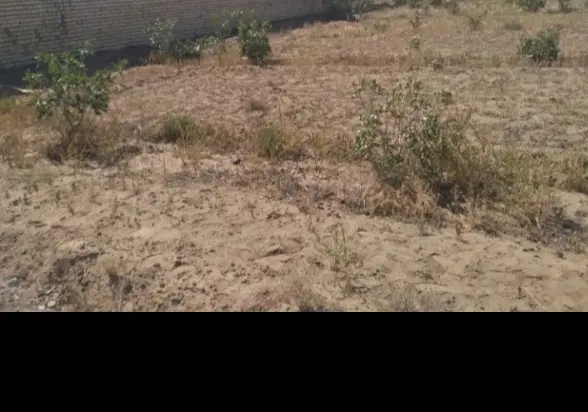 زمین دشت سعادت آباد (سعدآباد)