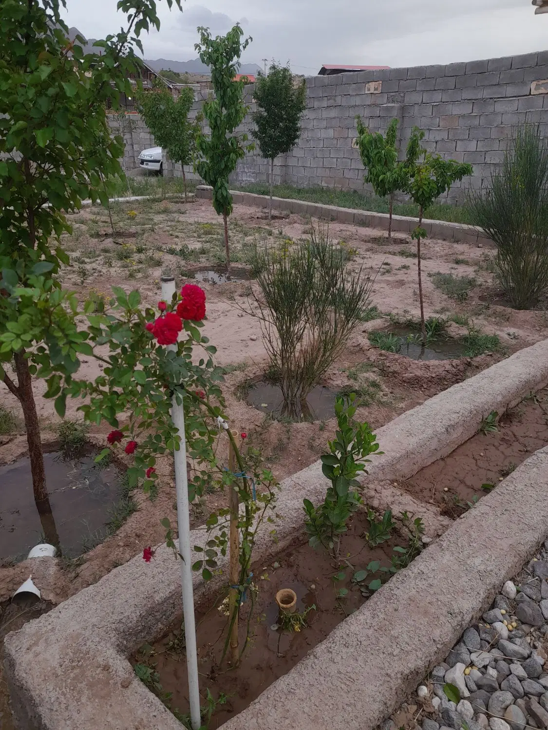 خانه باغ کوهپایه