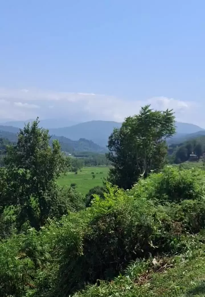 زمین داخل طرح هادی و مسکونی