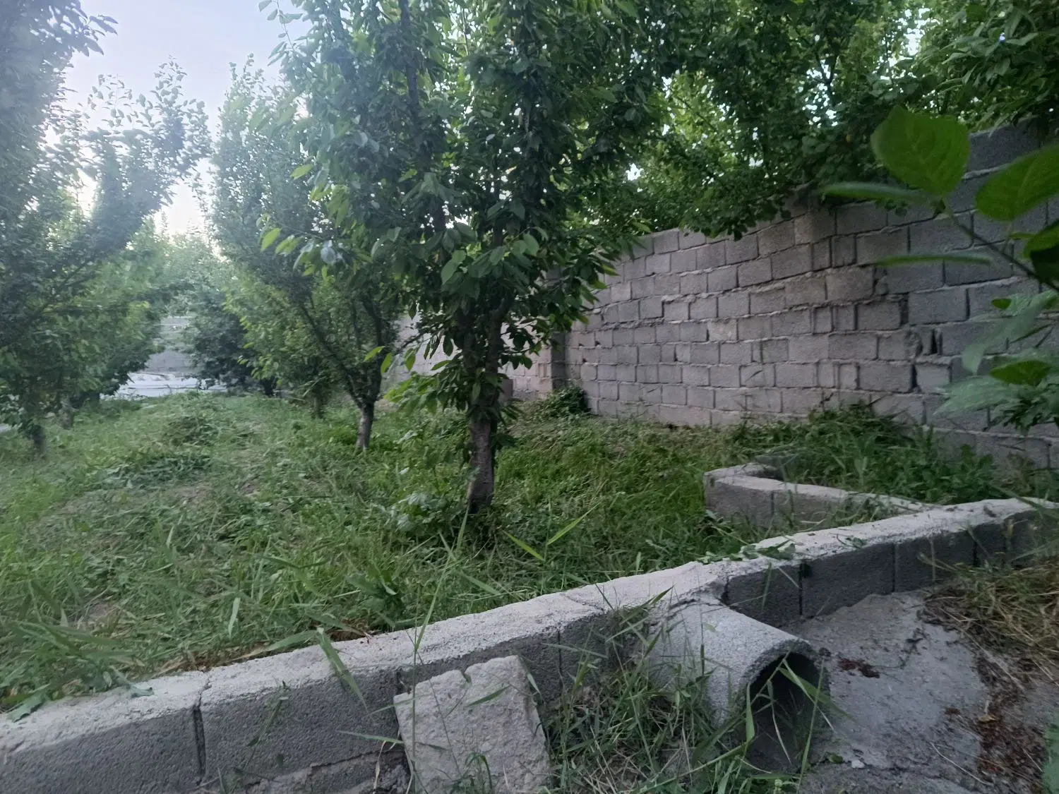 باغچه ۱۰۰۰ متری چهاردیواری در اسفند اباد ملارد