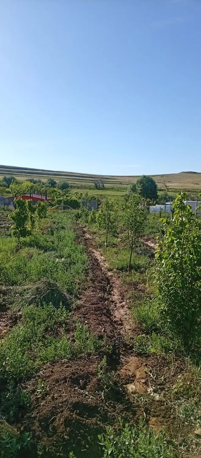 باغ در روستای که