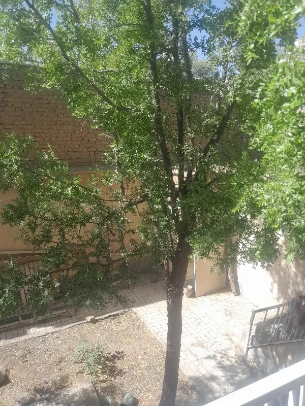 اجاره سویت دانشجویی در معلم