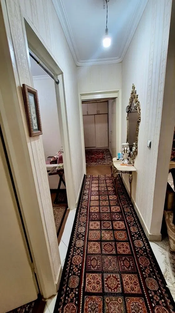 بر خیابان دامپزشکی