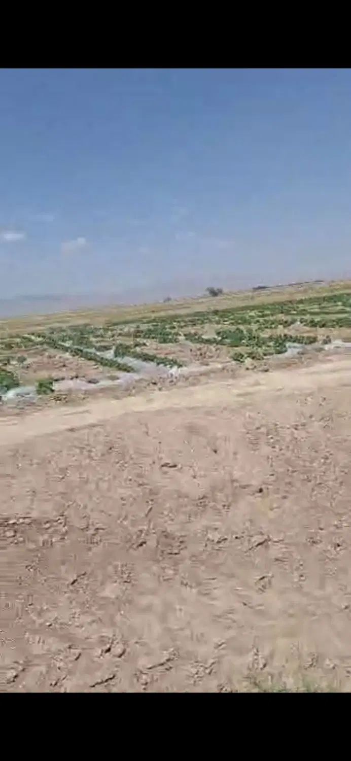 ۵۰ هکتار زمین کشاورزی در شهر خشکرود