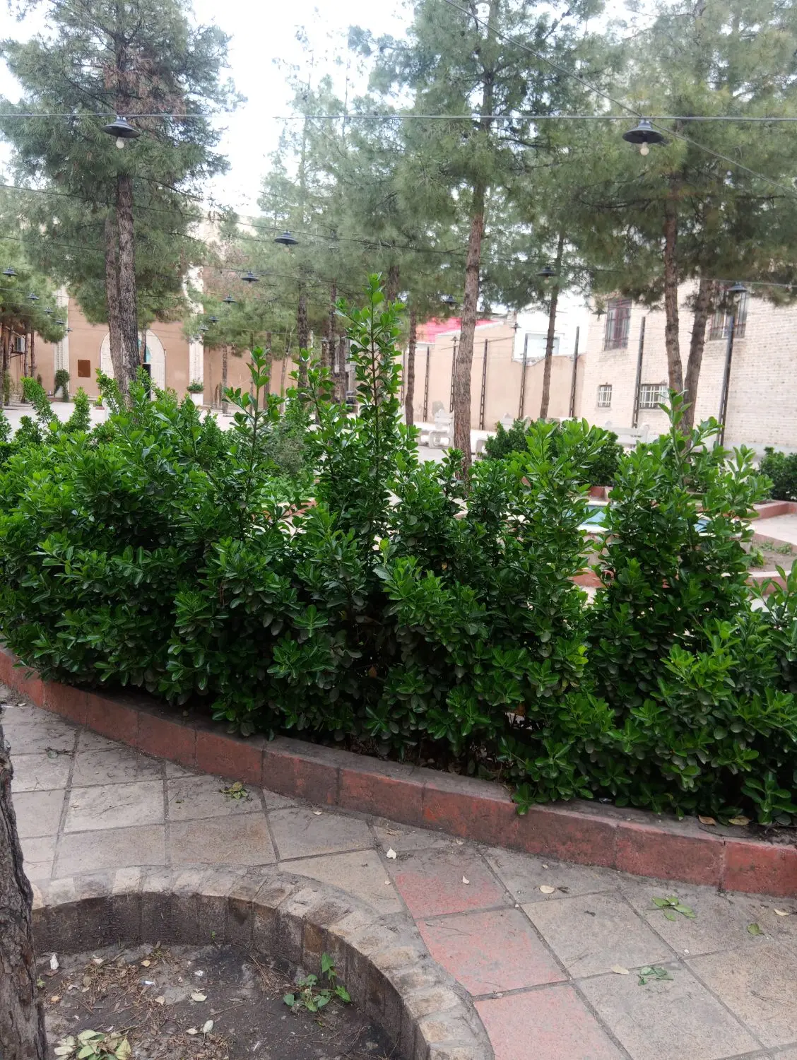 منزل ویلایی دربست با مغازه نبش خیابان