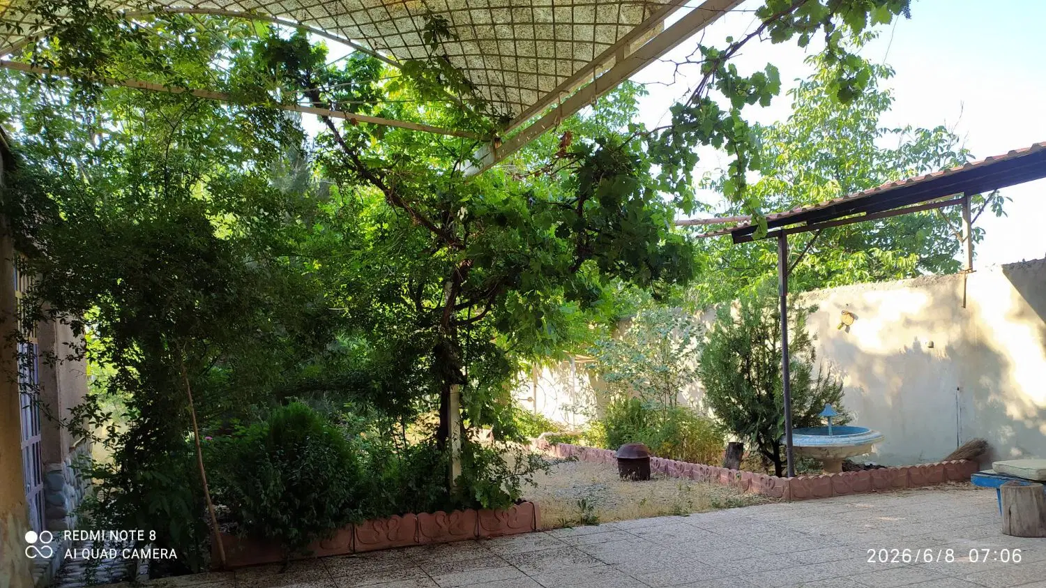 باغچه