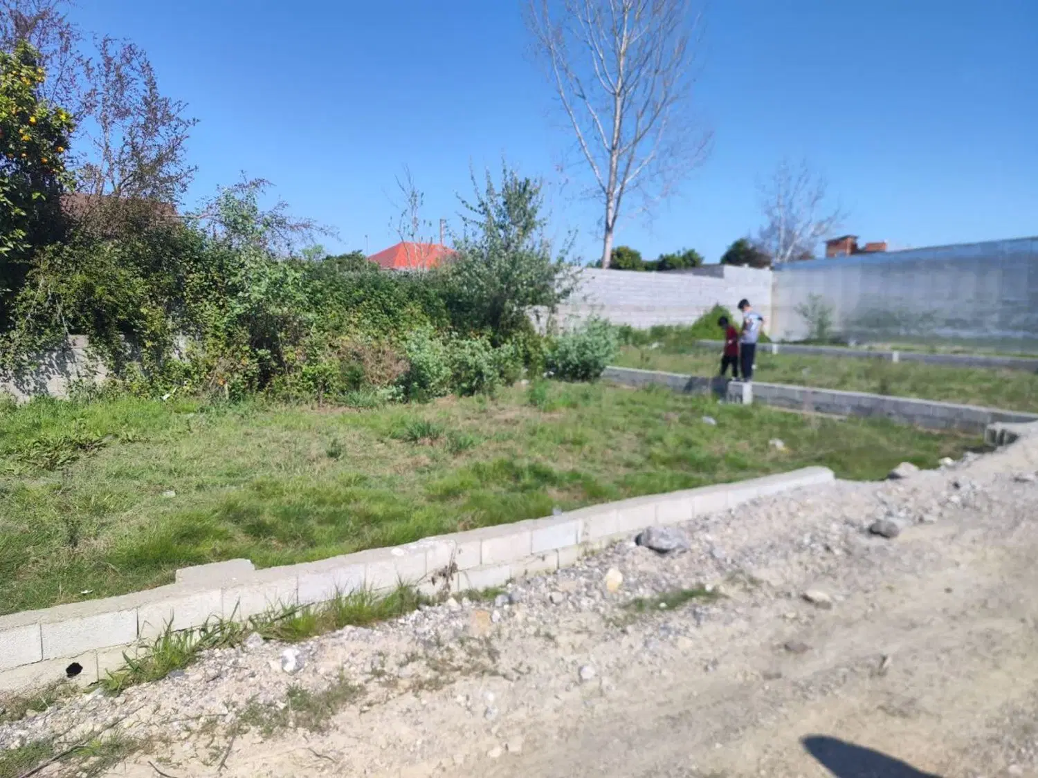 زمین مسکونی شهرکی در روستای شومیا