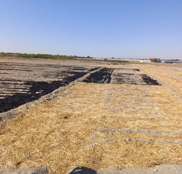 زمین ۵۰۰ متری روستای رضویه