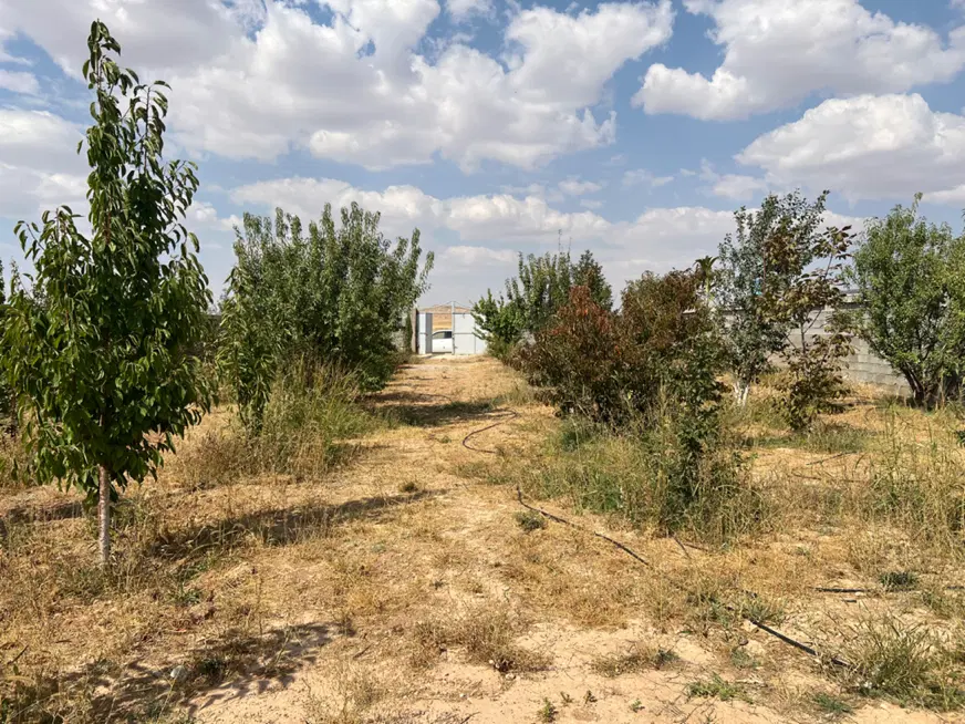 زمین باغی خان زنیان دهنو قلندری هزار و سی متر