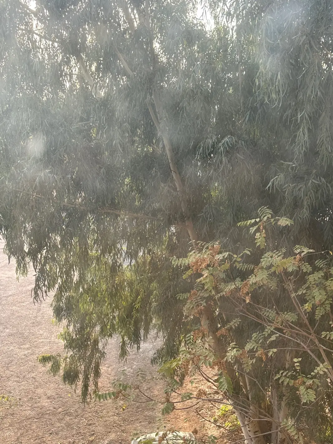 فروش زمین در گرگان