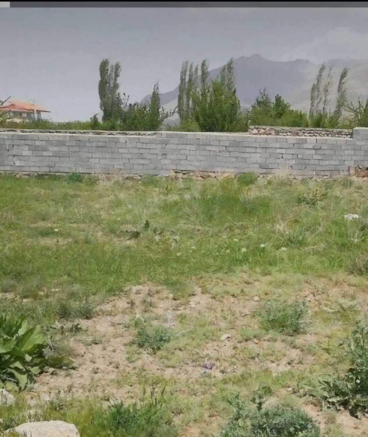 زمین باغچه