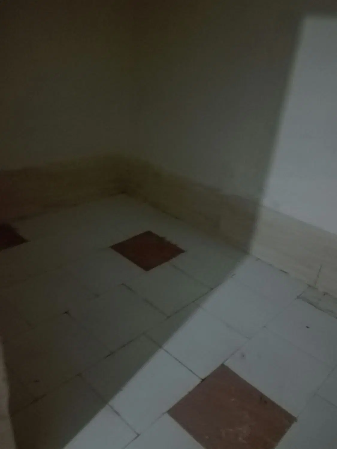 ۴۲ متر  مغازه اجاره داد میشود
