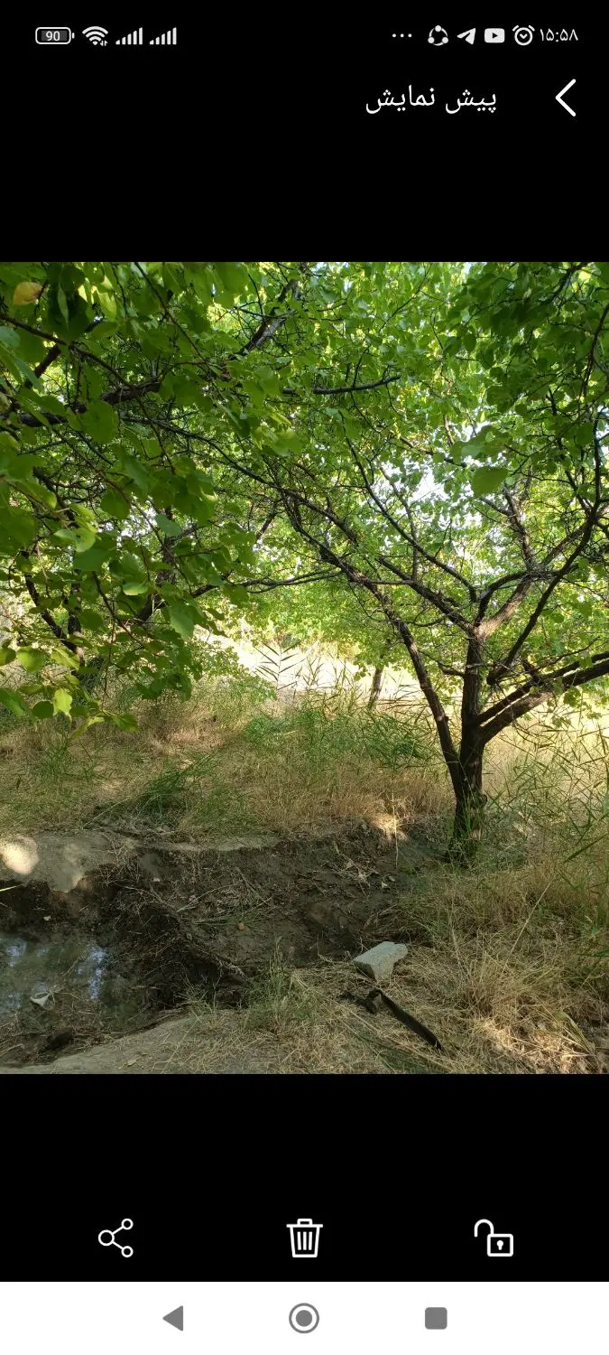 باغچه در امام زاده