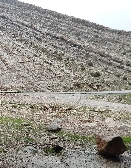 زمین تعاونی شهرداری