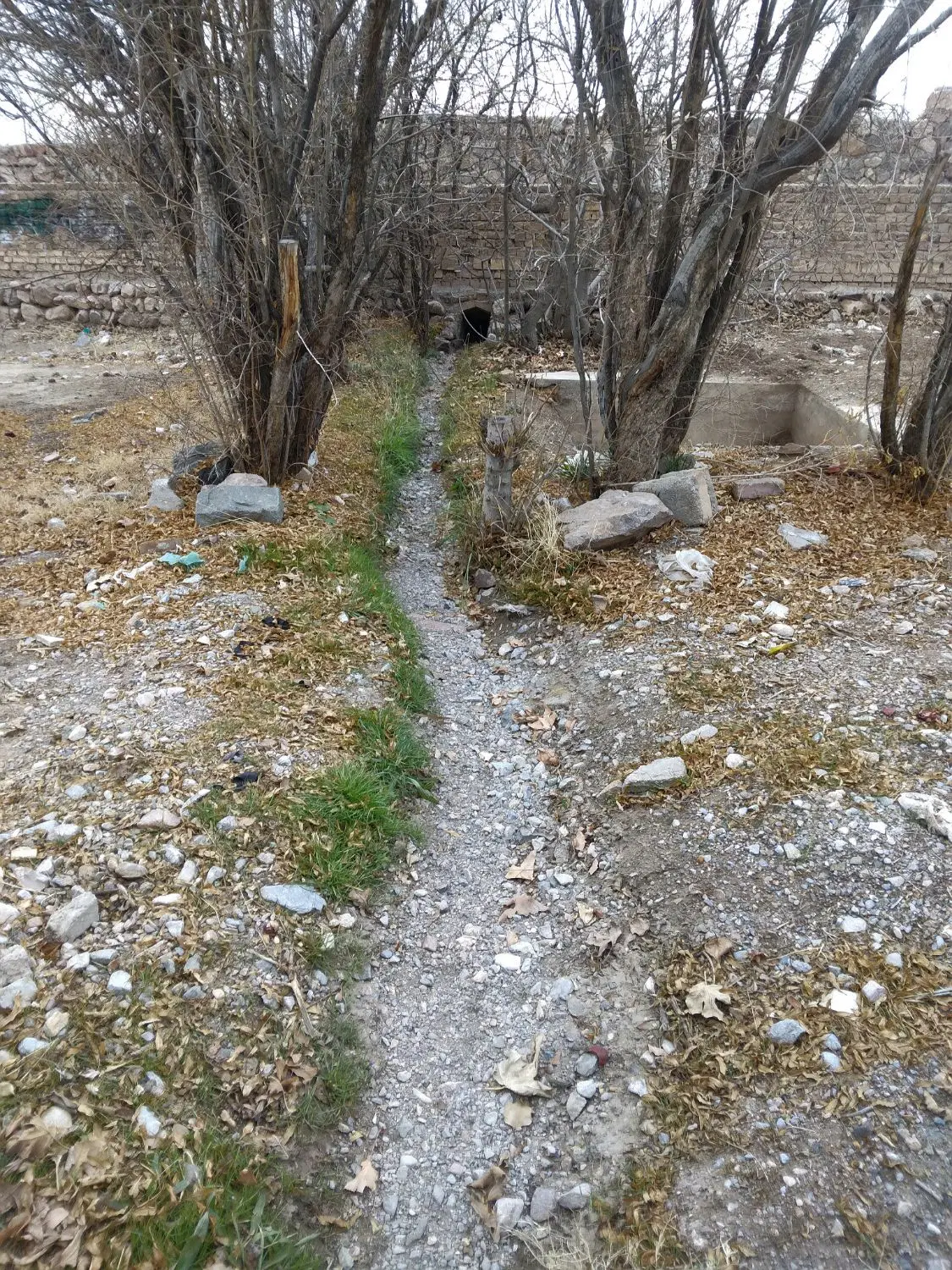 ۲۱ قصب ویلا نیمه ساز  داوران