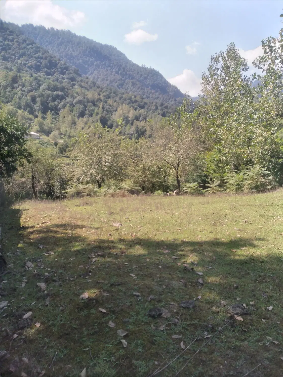 فروش زمین مسکونی ۵۵۰متر