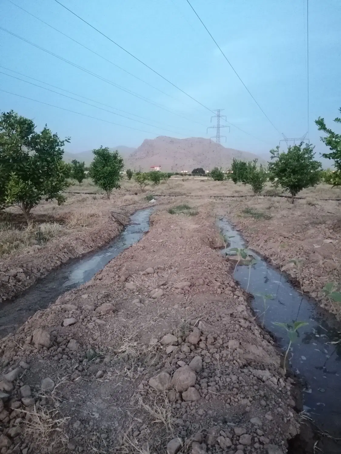 فروش باغ ثمری امام زاده جعفر3هزارمتر