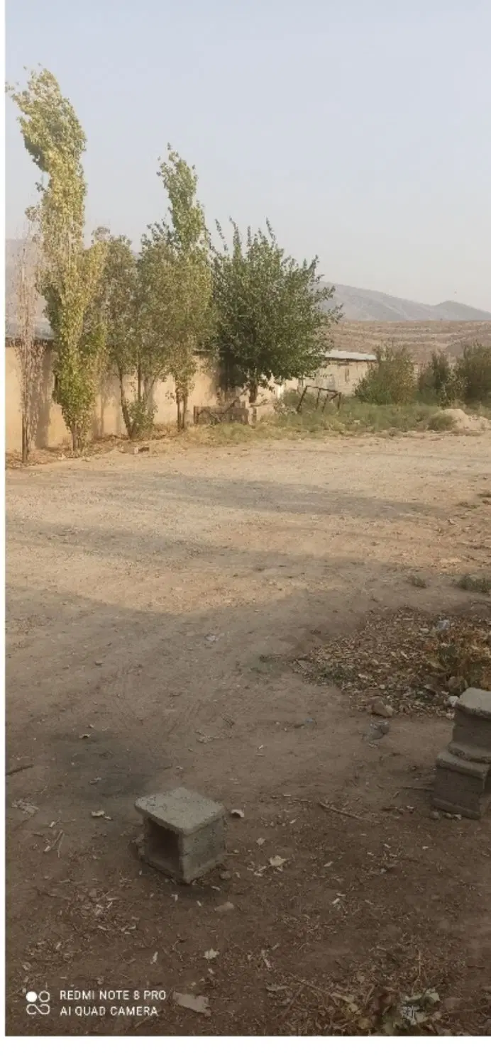 مرغداری 10هزارتای