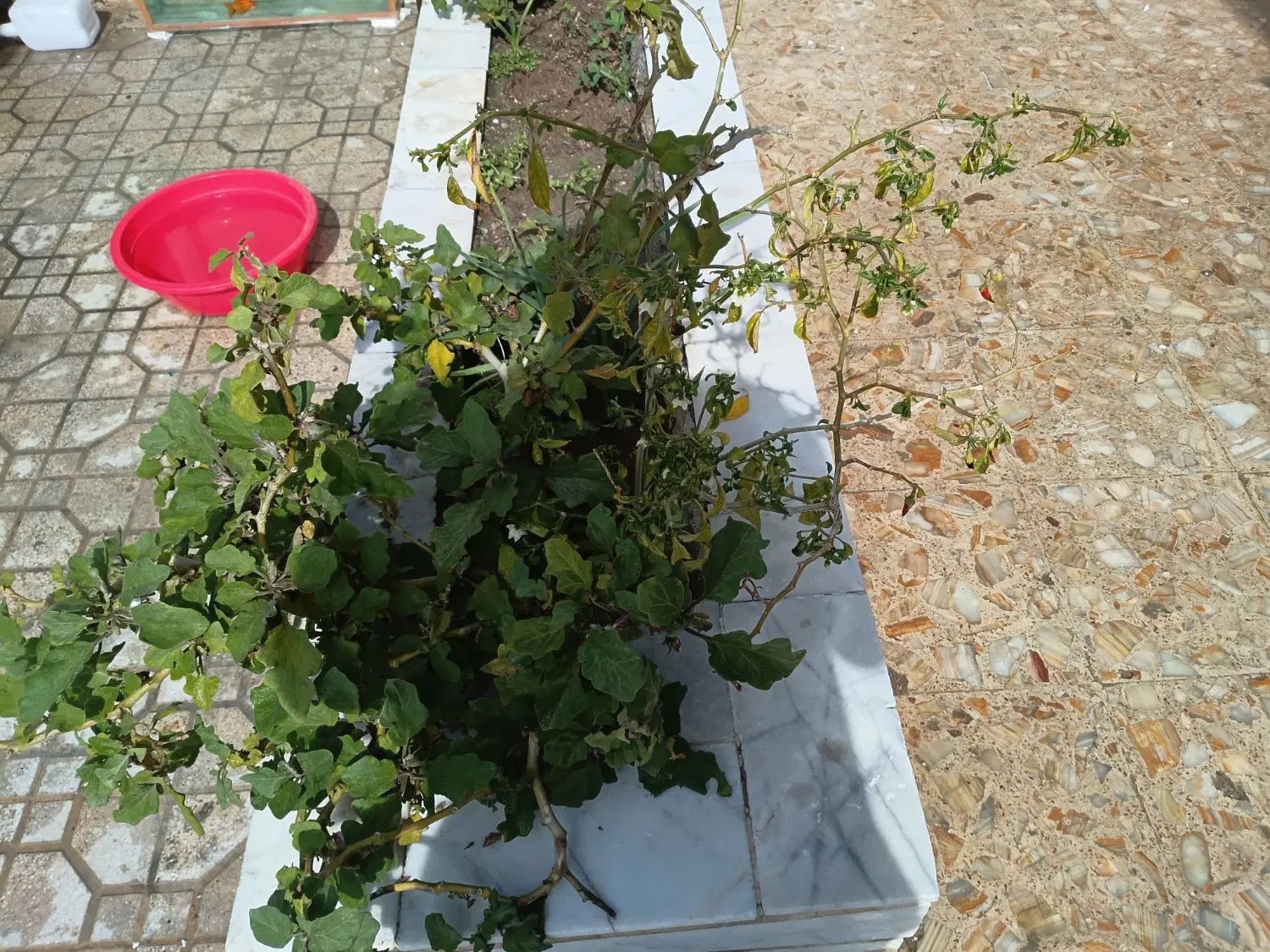 اسکلت دوطبقه
