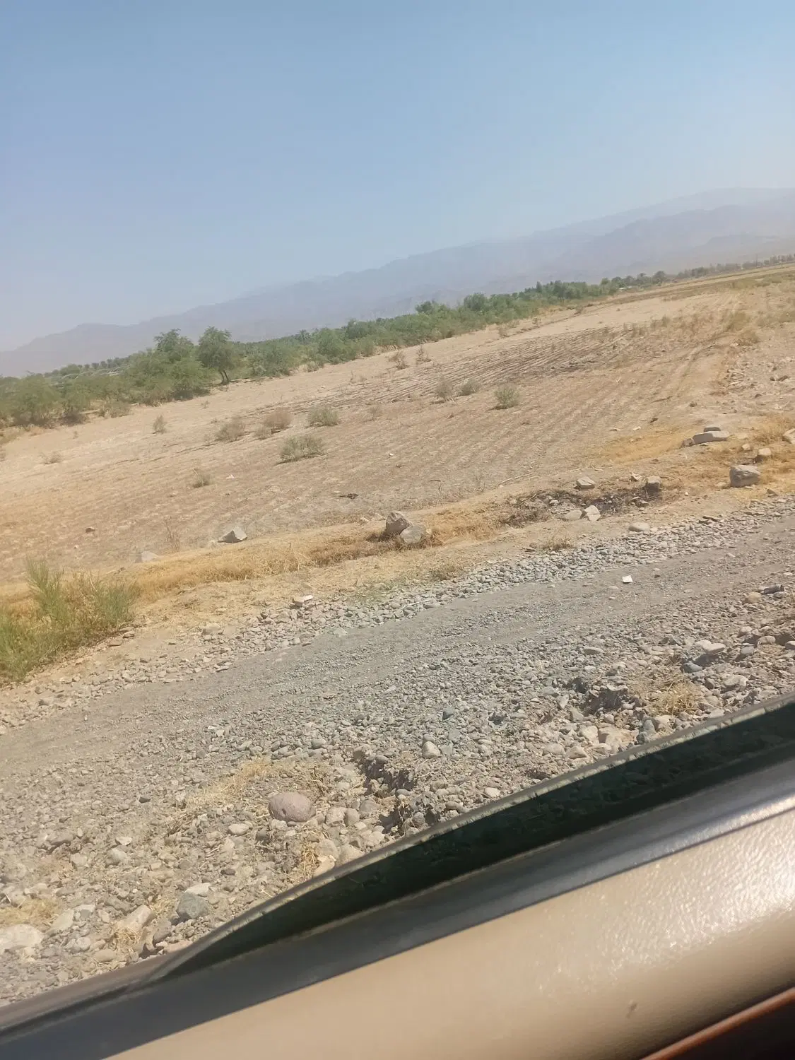 فروش  یک هکتار کشاورزی