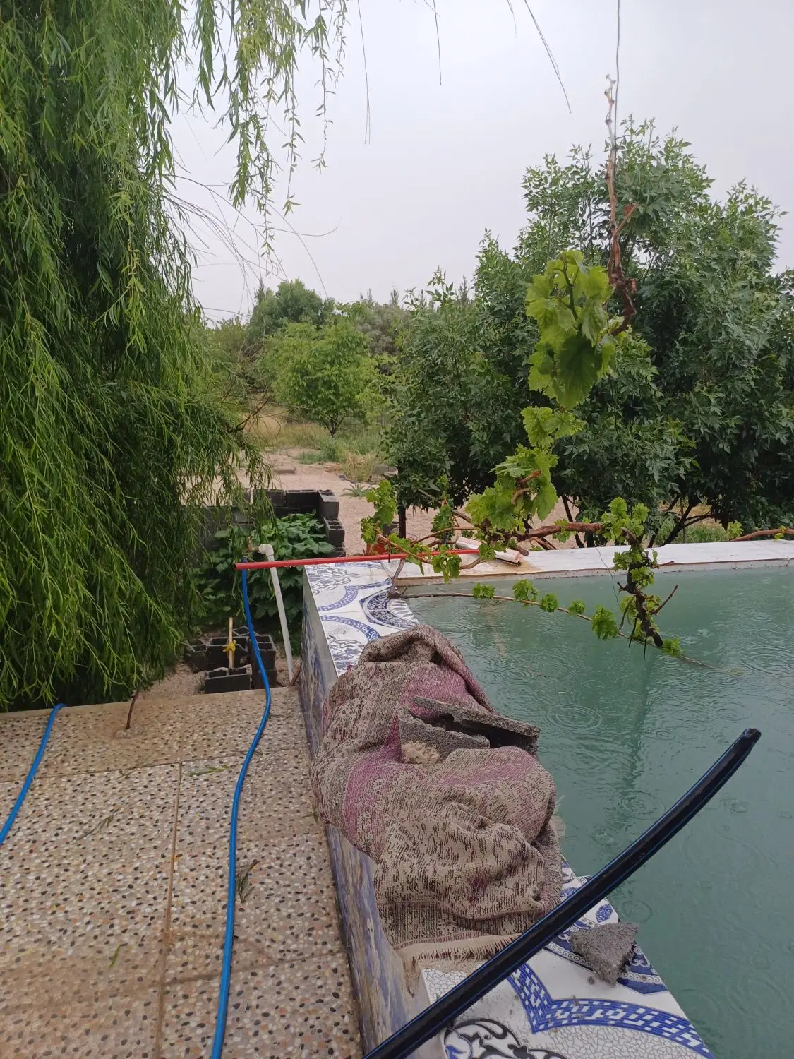 معاوضه باغ با خودرو