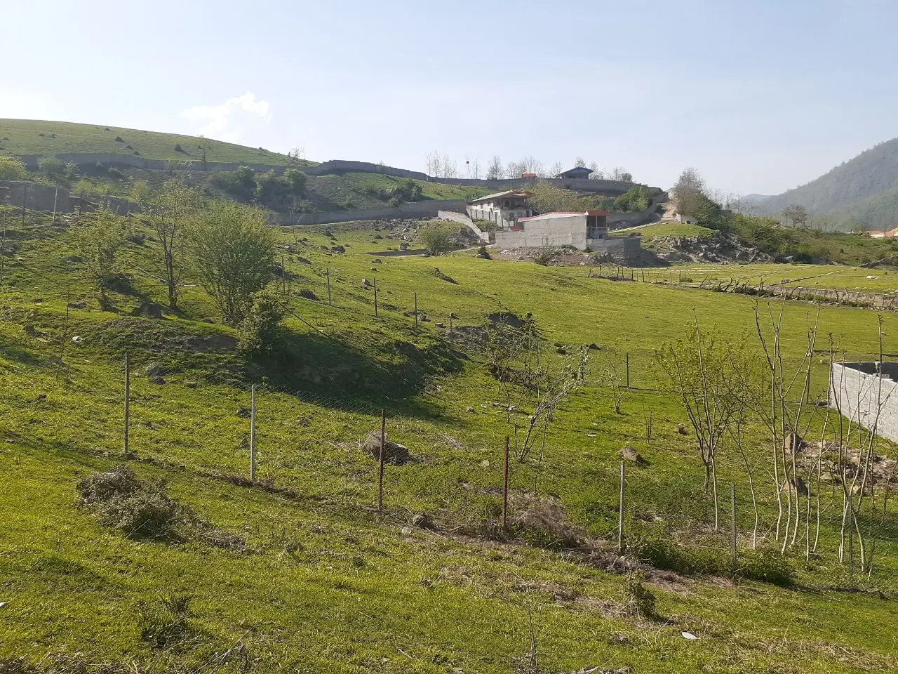 ۳۴۰ متر زمین واقع در روستای جنگلی نجارکلا چلاو